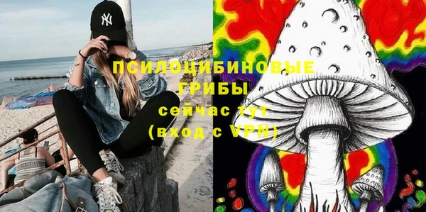 гашик Армянск