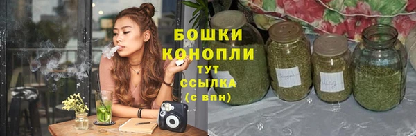 ГАЛЛЮЦИНОГЕННЫЕ ГРИБЫ Балабаново
